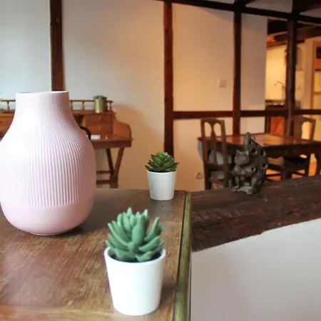 Cathedrale Notre Dame Mon Amour *