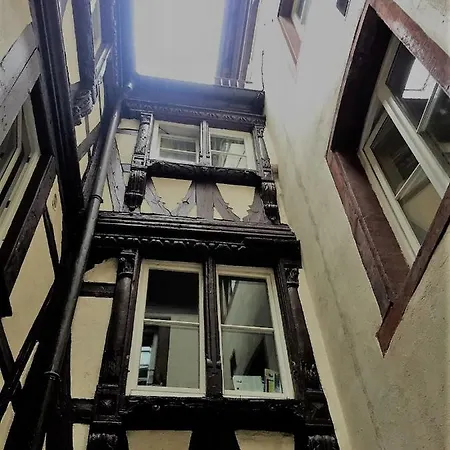 Cathédrale Notre Dame Mon Amour *