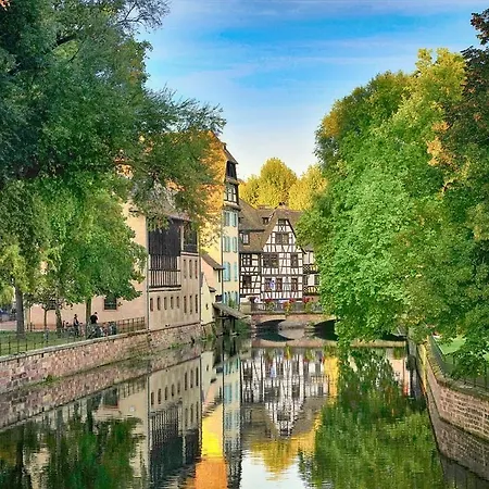 Cathédrale Notre Dame Mon Amour